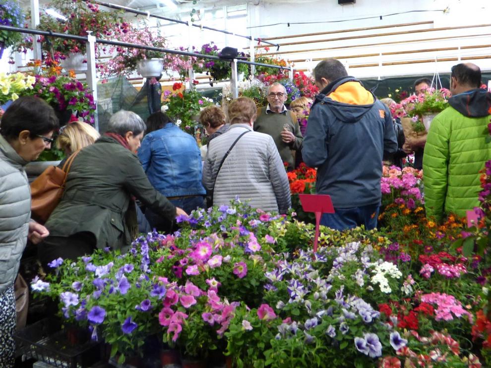 Biescas no celebrará este año su Feria de la Primavera prevista el 9 y 10 de mayo