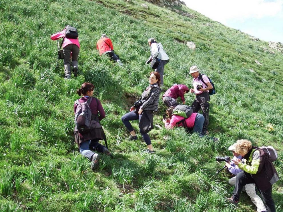 Biescas cancela las XI Jornadas de las Orquídeas por la crisis del coronavirus