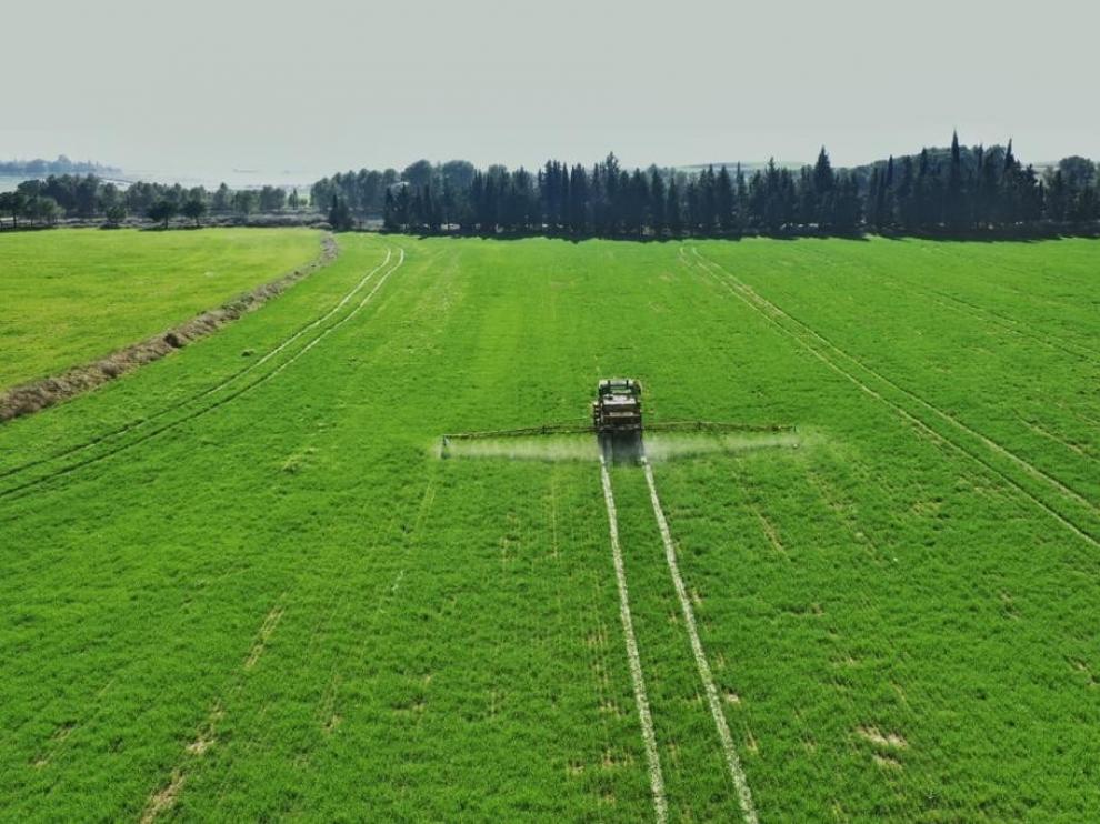 Asaja prevé que la cosecha de cereal en Huesca sea un 25 % superior a 2019