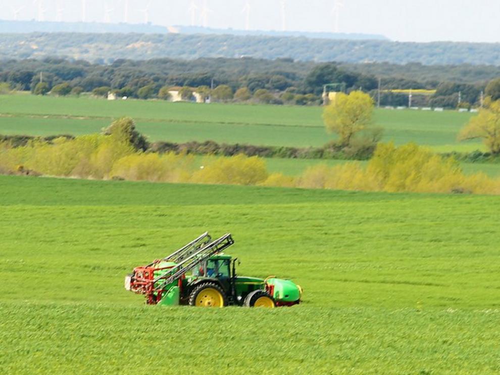 El campo se beneficia del decreto en pro de la economía