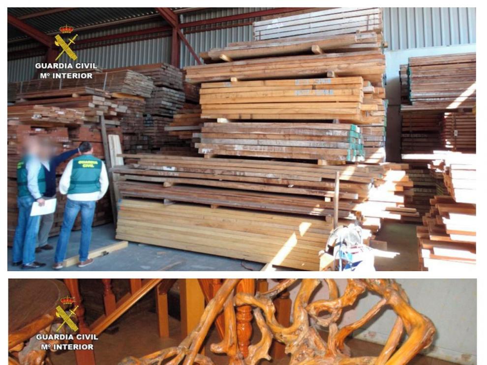 Persiguen el tráfico de madera que esquilma bosques del tercer mundo