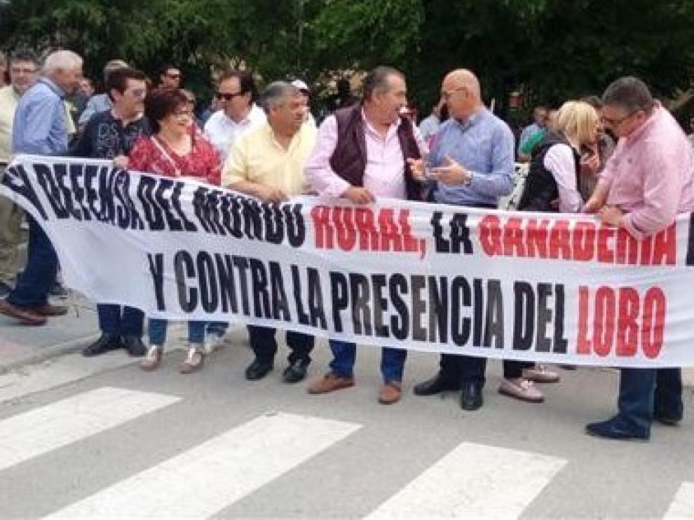 La Plataforma contra la presencia del lobo y el oso traslada su preocupación por el reciente ataque