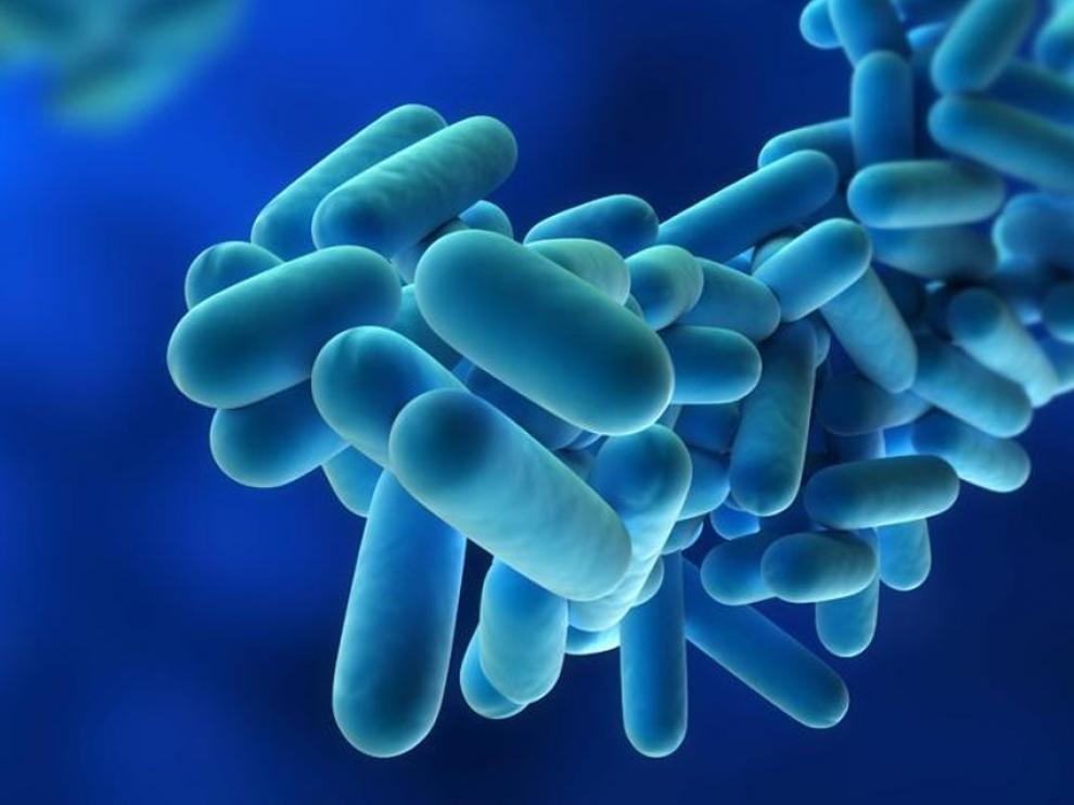 Inciden en prevenir la legionela en el contexto de crisis sanitaria
