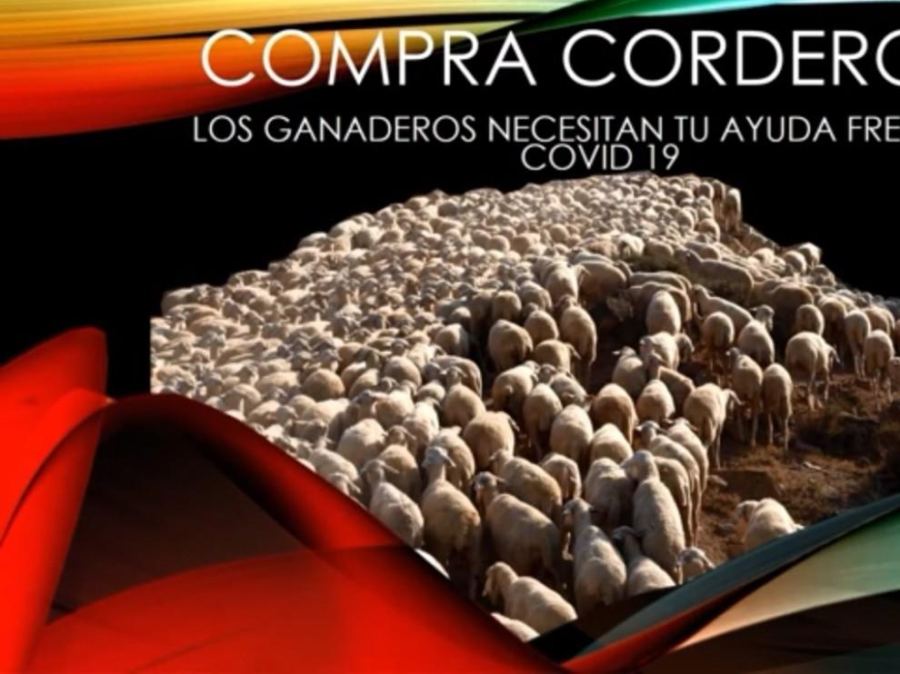 Teruel Existe lanza una campaña de promoción del consumo de cordero