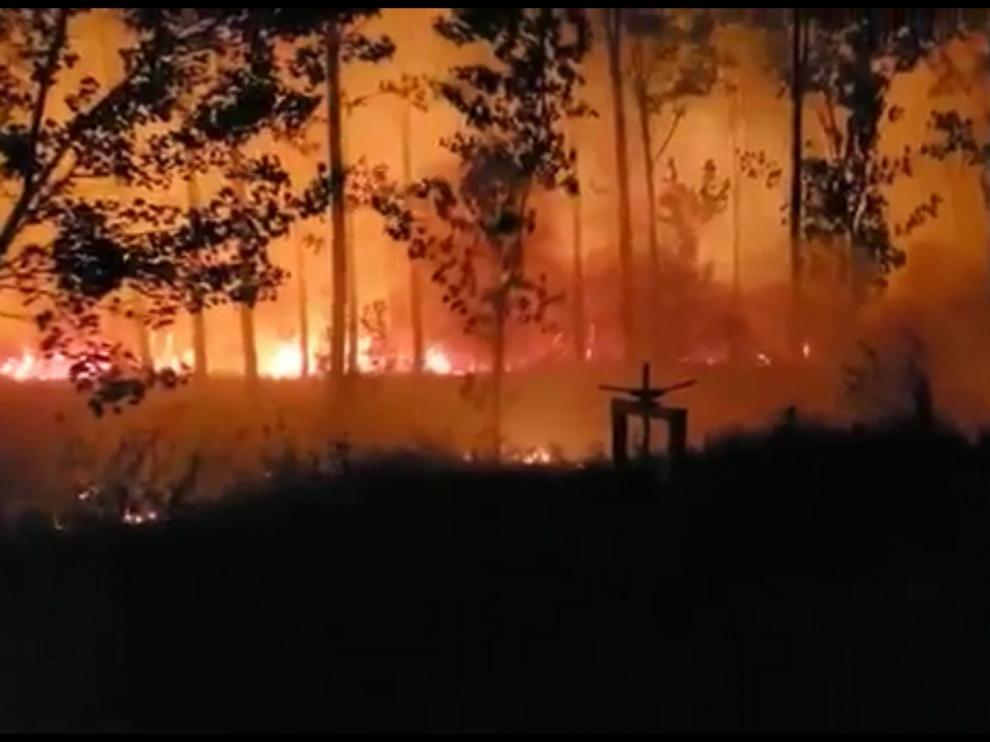 Espectacular incendio en una chopera en las inmediaciones de Monzón