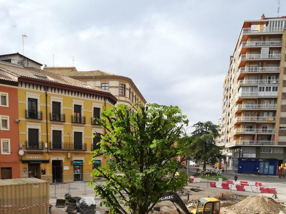Vecinos de la plaza Santo Domingo de Huesca piden que no se tale el último árbol
