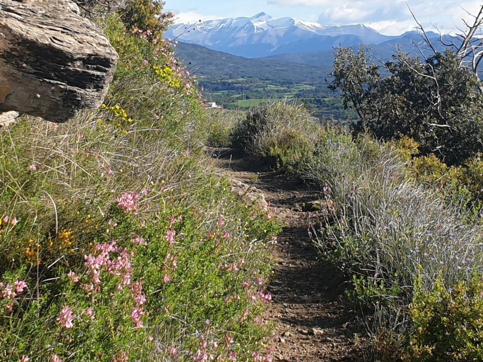 Graus será escenario de un proyecto piloto de turismo sostenible