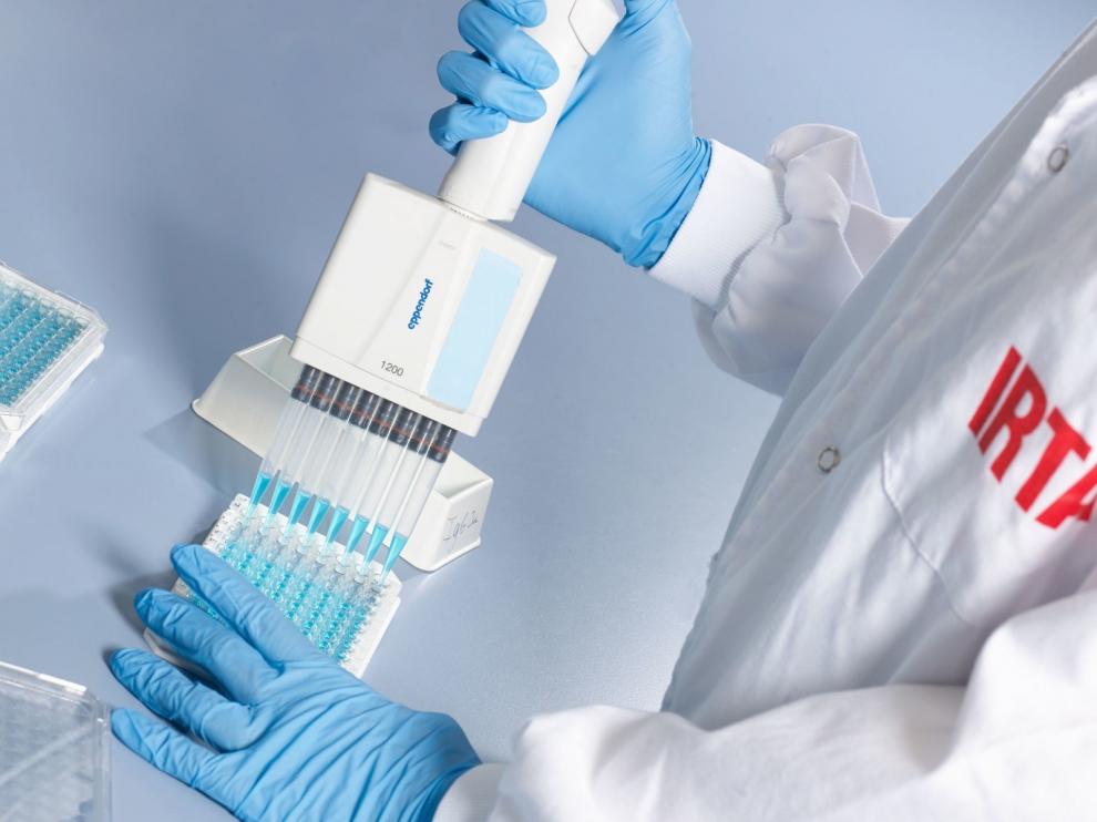Detectan el primer caso de gato infectado por coronavirus en España