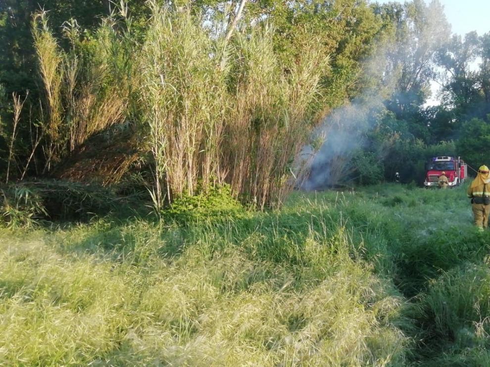 Un incendio quema la vegetación de parte de la ladera del Vero en Barbastro