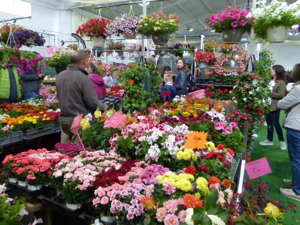 Las flores “toman” las ventanas y los balcones este fin de semana en Biescas