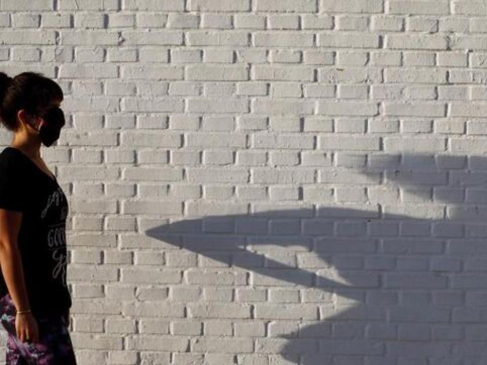 El "virus del miedo" condiciona el comportamiento electoral, según un experto