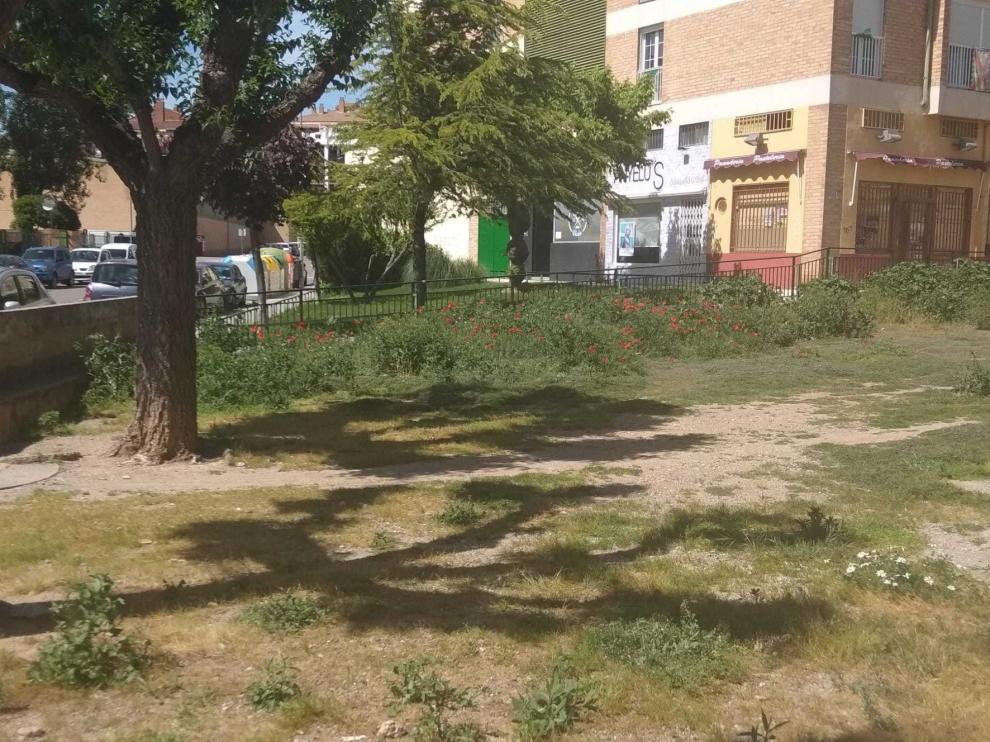 La flora crece a su antojo