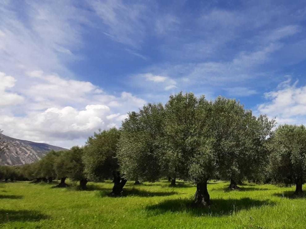 Jesús Escario: "El medio rural tendría que dar un puñetazo en la mesa y hacerse valer"