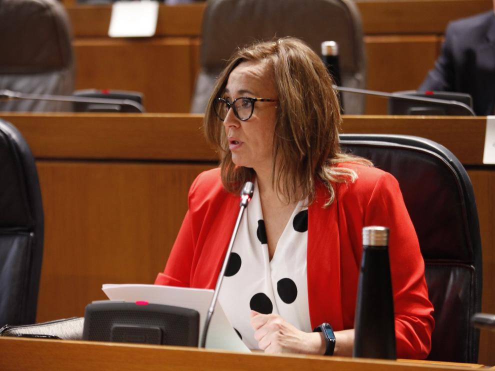 Mayte Pérez anuncia para 2021 un plan de protección ante enfermedades contagiosas en Aragón