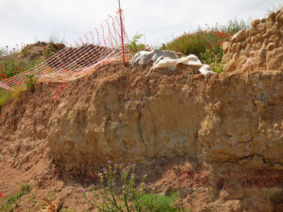 El yacimiento de Barbastro está en situación de abandono
