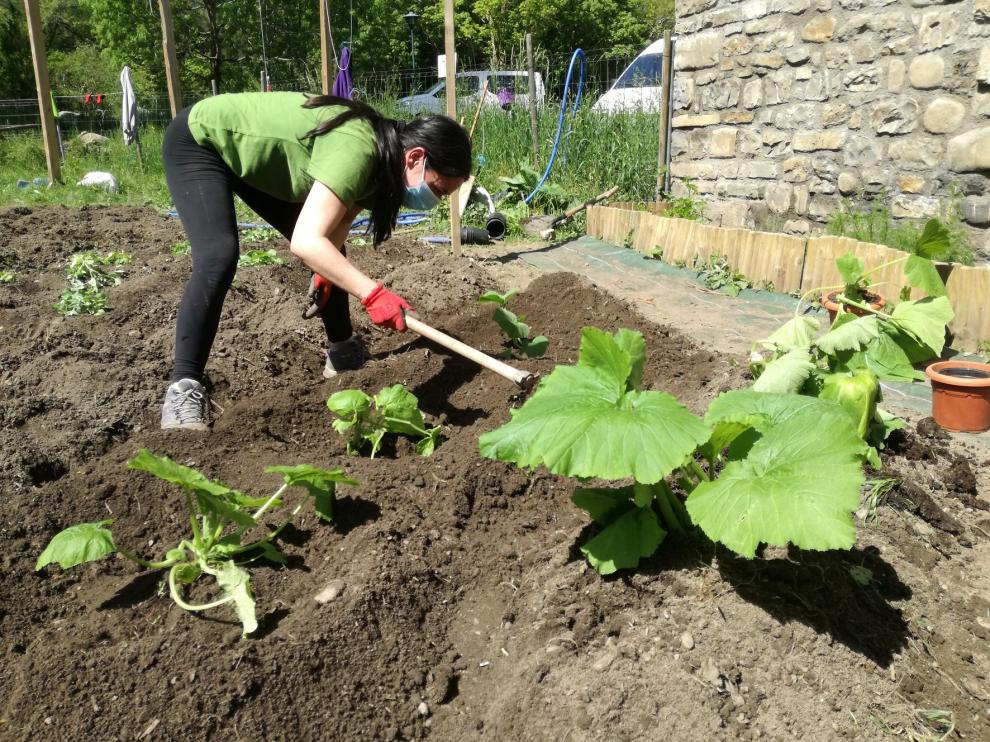 El taller de empleo prepara un huerto escolar en Biescas