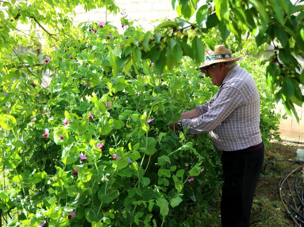 El ámbito rural saldrá de la pandemia fortalecido