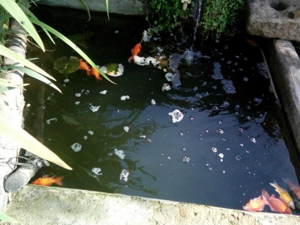 Persisten los problemas de agua de boca en Laguarres