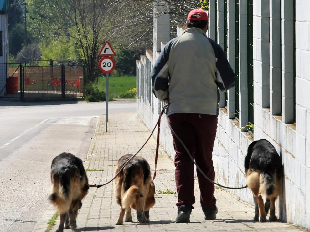 Los perros pueden volver a los parques respetando la Ordenanza de Convivencia