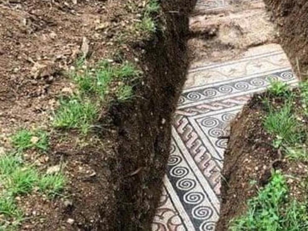 Sale a la luz un rico mosaico romano bajo unos viñedos en Italia