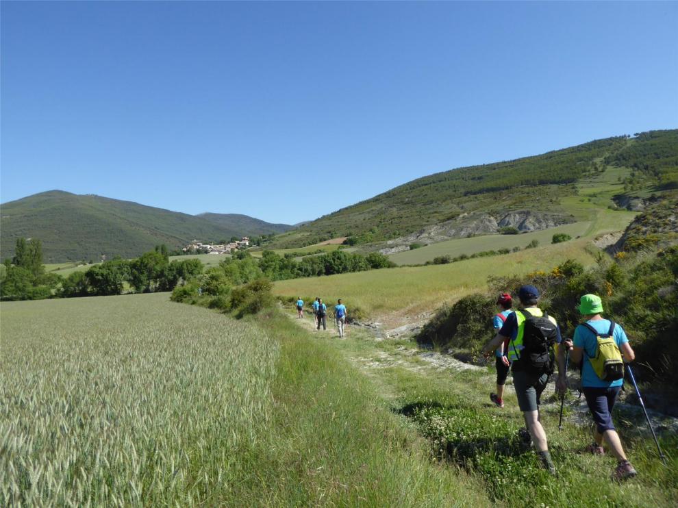 Todo lo que se puede hacer en las salidas al campo y actividades al aire libre