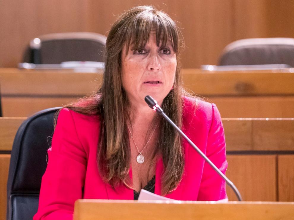 Repollés niega un déficit de infraestructuras sanitarias en Aragón
