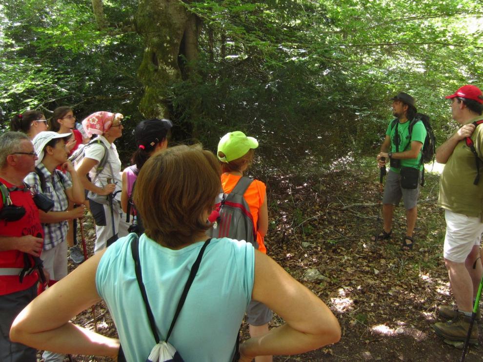 Reactivan las visitas guiadas en La Hoya de Huesca