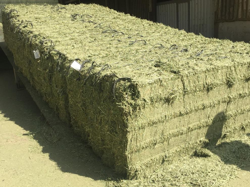 España exporta más de un millón de toneladas de forrajes
