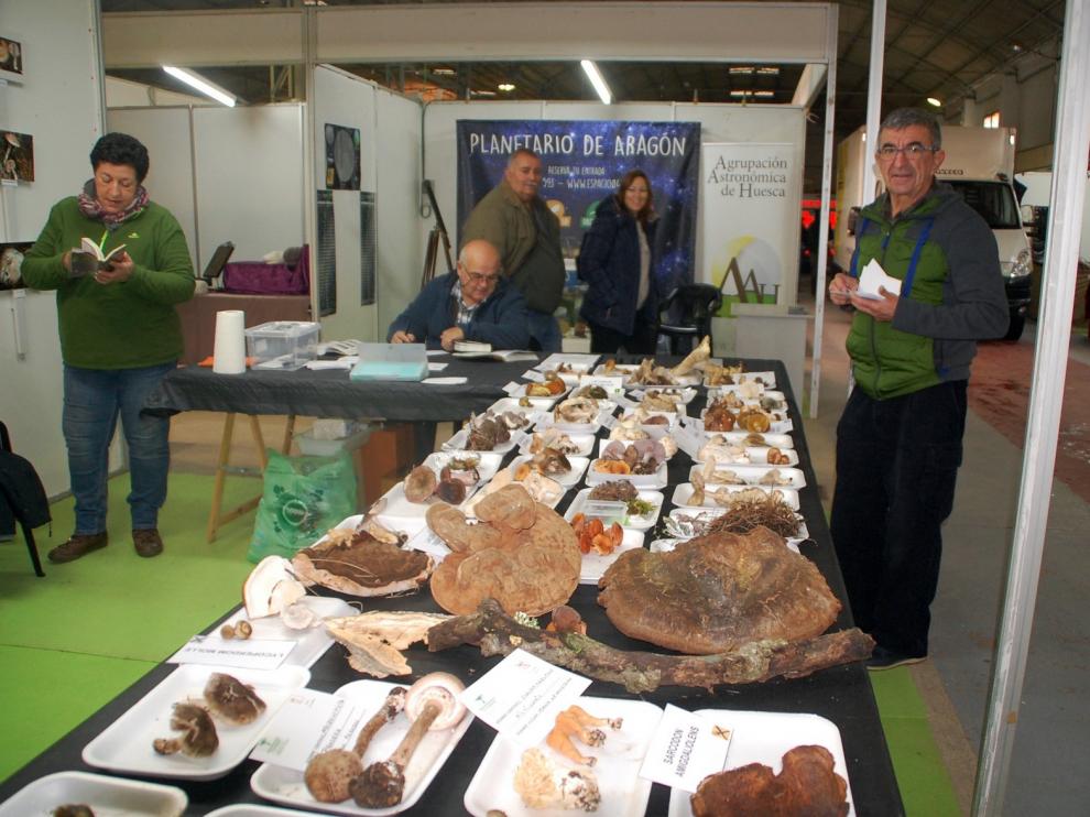 Las ferias de Sariñena y Barbastro se preparan para el escenario post covid-19