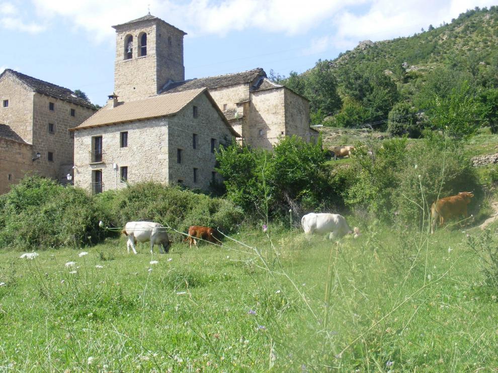 Piden una nueva propuesta para la Ley de Protección y Modernización de la Agricultura Familiar y del Patrimonio Agrario de Aragón