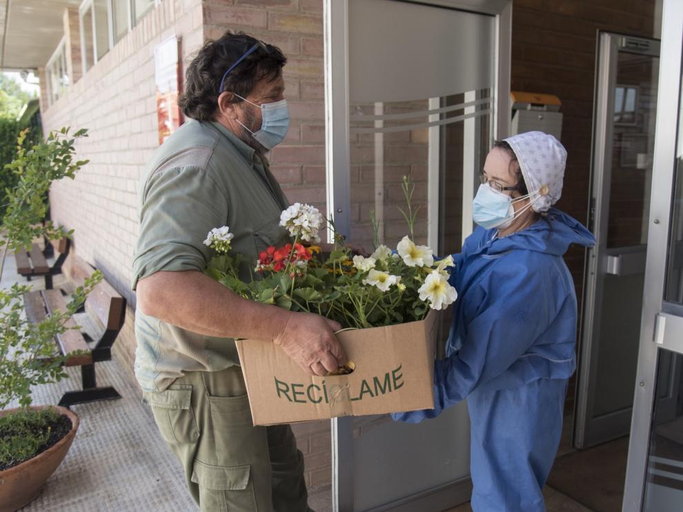 La Diputación Provincial de Huesca distribuye 1.500 flores a las 58 residencias de la provincia