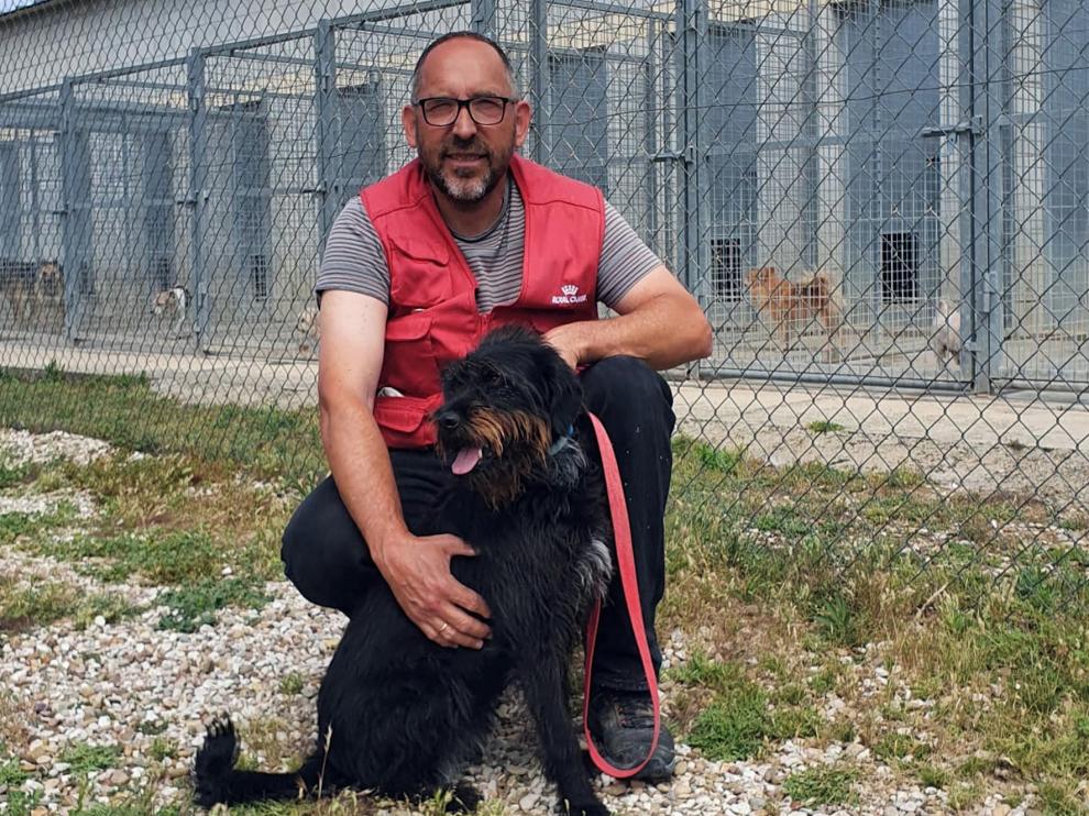 Miguel Yzuel: "España es el primer país de Europa en abandono de perros"