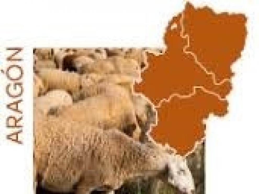 Carrefour ha comprado en el último año 50.000 kilos de Ternasco de Aragón