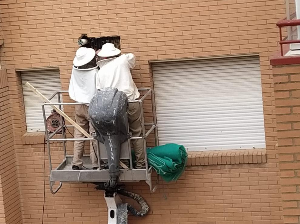 Retiran un enjambre de abejas en la fachada de un edificio en Huesca