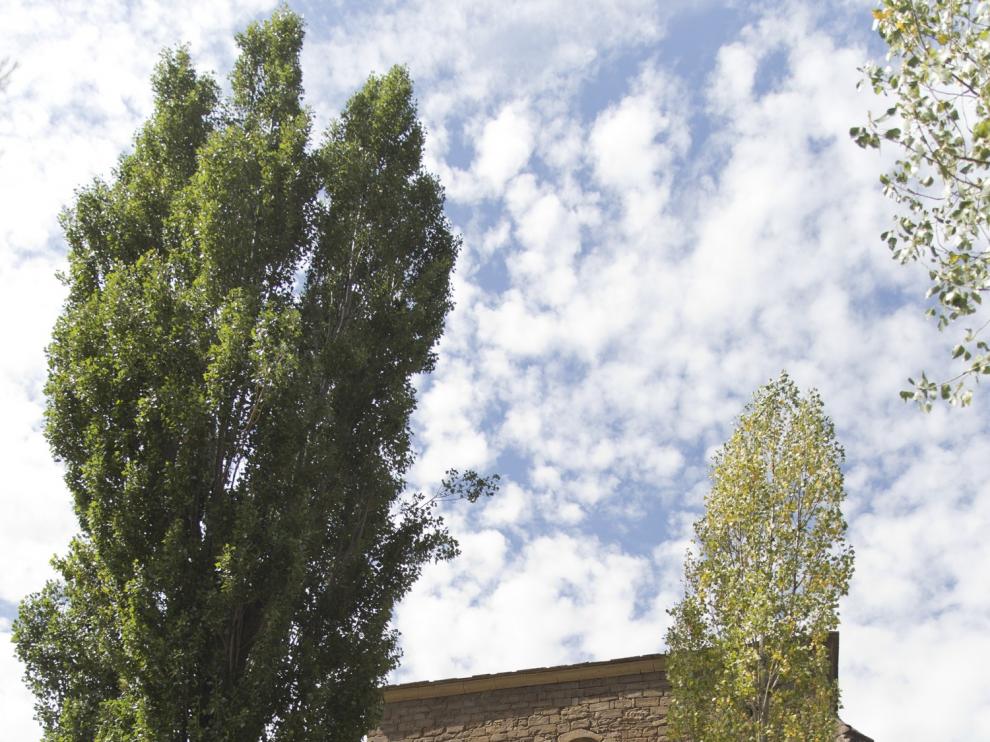 La Hoya activa una nueva edición del programa de turismo cultural "Puertas Abiertas"