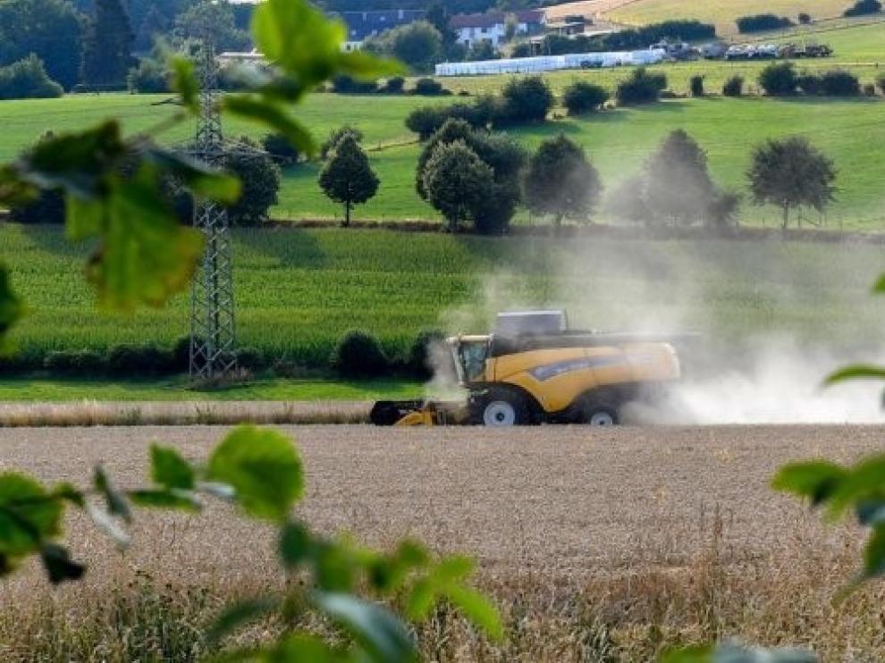 Una ley para "dinamizar" el medio rural