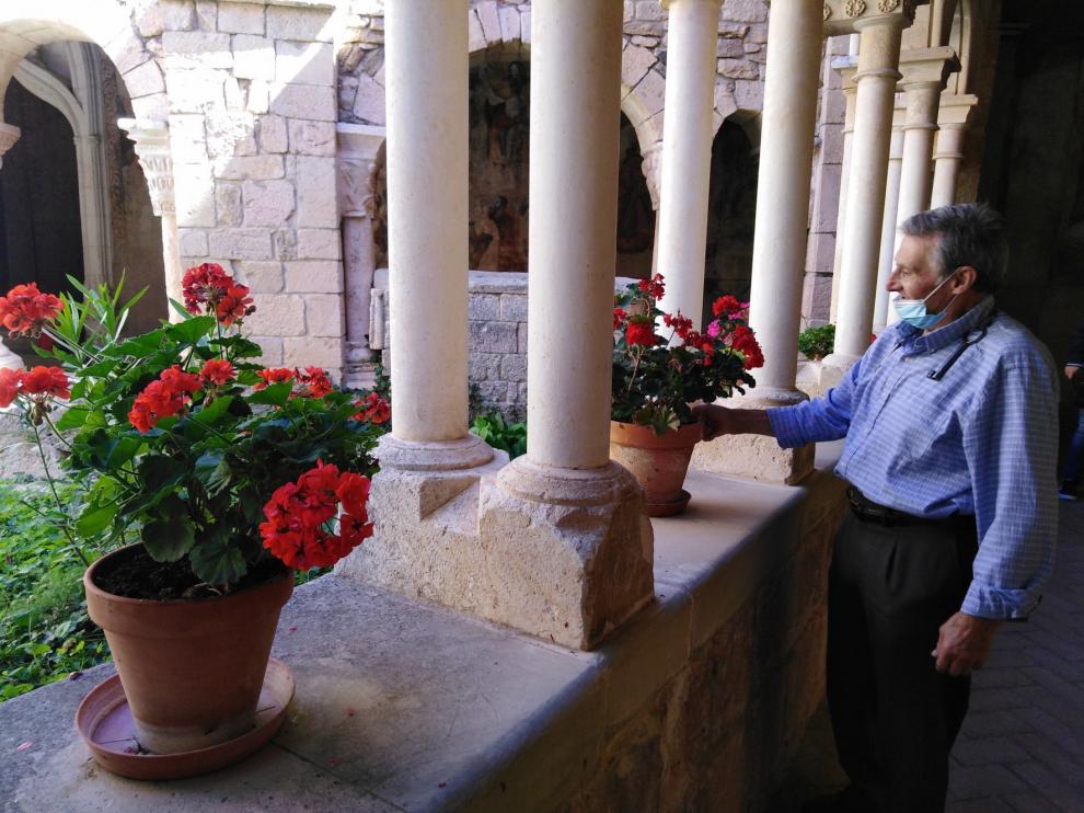 Geranios de concurso