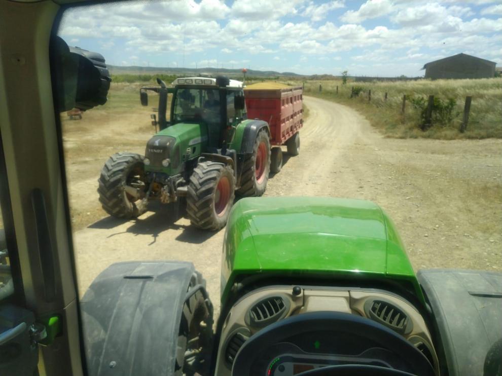 La cosecha de cereal en la provincia de Huesca dejará un buen rendimiento y malos precios