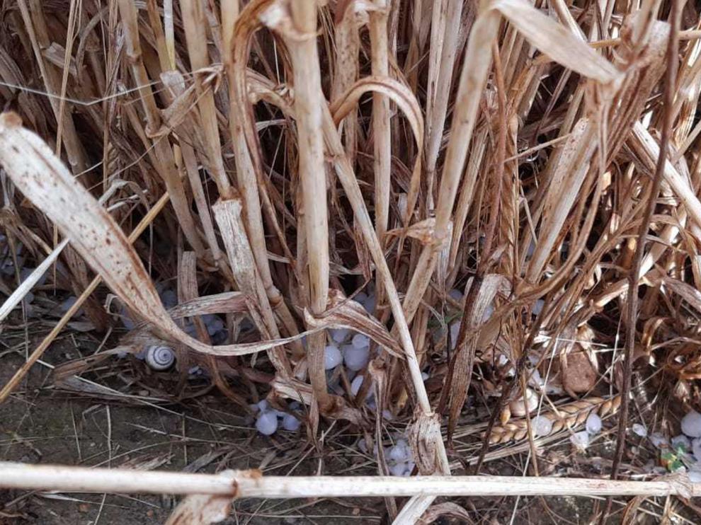 Una fuerte tormenta causa daños en algunos municipios de la provincia de Huesca