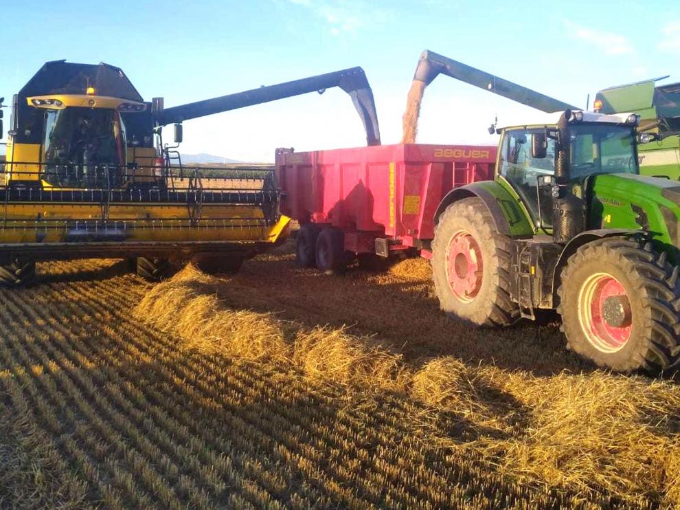 La cosecha de cereal se reactiva en la provincia