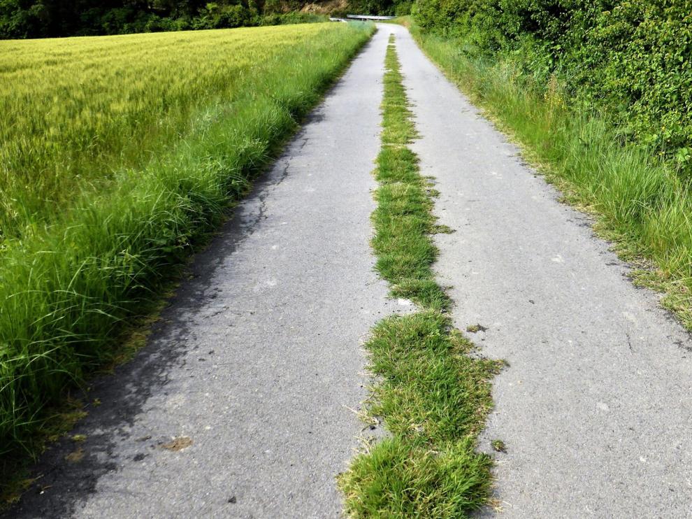 La transición verde que viene