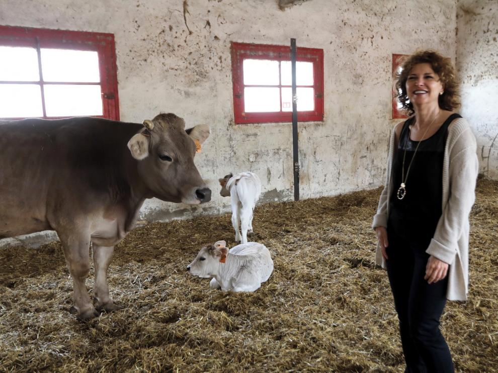 El centro CPIPF 'Montearagón' de Huesca, uno de los más innovadores del país
