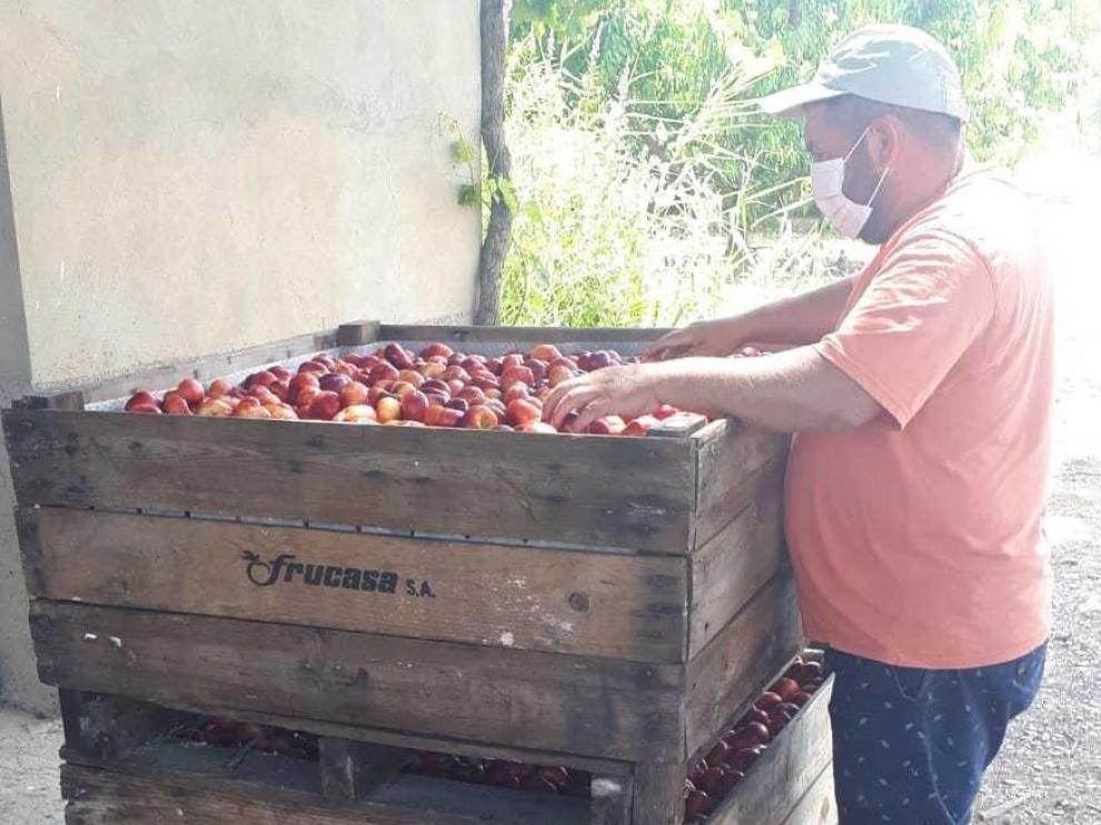 El sector frutícola de la zona oriental redobla esfuerzos frente a los rebrotes