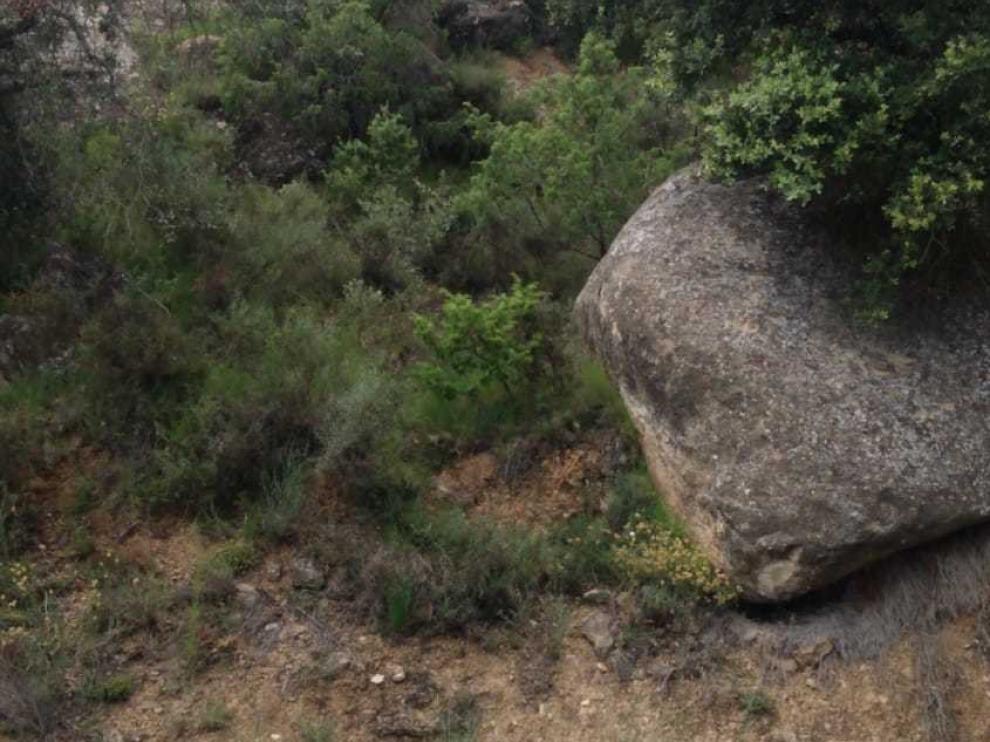 La obra para retirar la roca que cayó a la vía en Azlor se licita ese martes