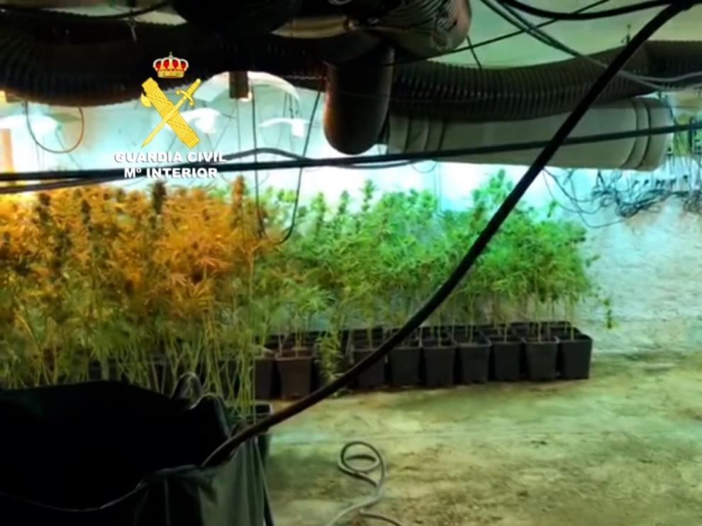 Nueve detenidos y 322 kilos de marihuana incautados en Aragón y Cataluña
