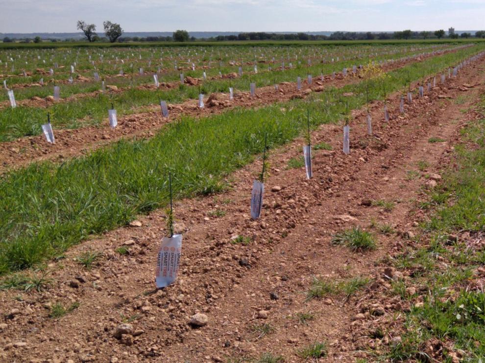 Agricultura y turismo rural, oportunidades de la provincia
