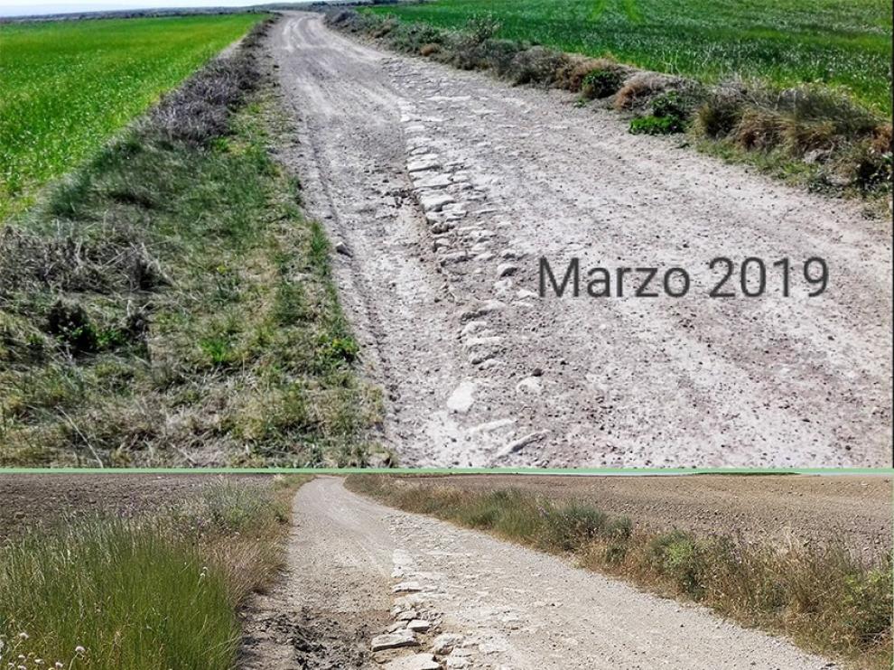 Apudepa denuncia el deterioro de los restos de una calzada romana en Villanueva de Gállego