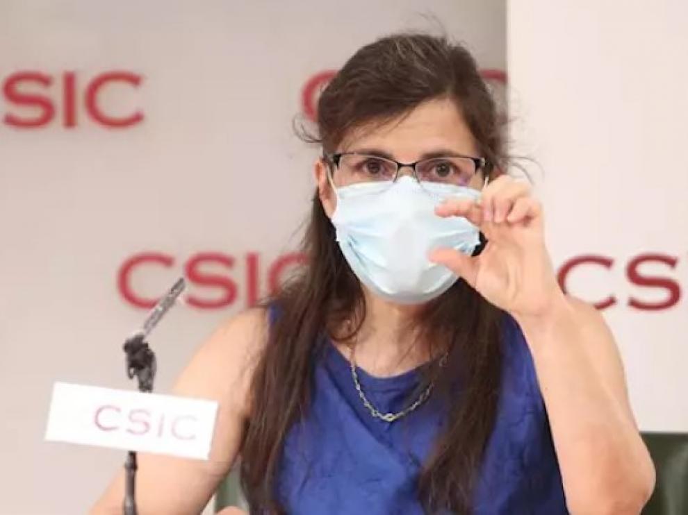 El CSIC logra un test de anticuerpos de la covid-19 con una fiabilidad del 98%