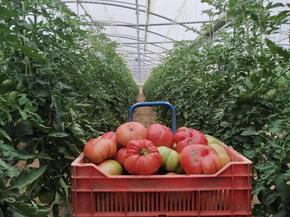 Aragón destina dos millones de euros al sector agroalimentario