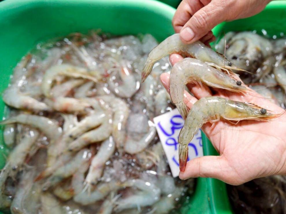 China suspende la importación de gambas de Ecuador al detectar virus en los paquetes
